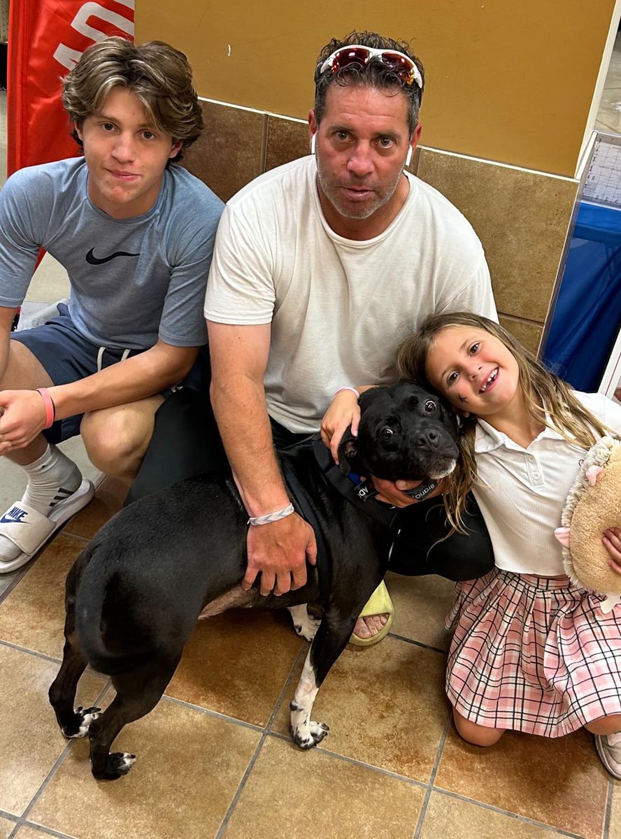 Good_vibes_up's tweet photo. PERCY got ADOPTED! 😍😍😍

From @BrandywineSPCA: 

"A Tail of Triumph for Percy! Percy, the ultimate heart-stealer, has wrapped us all around his paw on his journey to a forever home. Coming from one of our local shelter partners, the Humane Society of Harrisburg Area, where he was once their longest resident and captured the hearts of staff, volunteers and even a local artist who painted his portrait. He had success there and found a loving home, but ended up back in their care through no fault of his own. We knew Percy would benefit from meeting a new community of potential adopters.

With dreams of a new family to call his own, Percy joined us at the Mega Adoptions Event, hoping to find his match among thousands of smiling faces. While the stars didn't align that weekend, destiny had other plans in store! Shortly after our Mega event, his perfect match of a family strolled through our Plymouth Meeting Everyday Adoption Center and welcomed him with open arms and hearts!

Working together to give Percy his second chance truly is the meaning of partnerships. Happy forever, Percy! Your fan club is jumping with joy right now!" 

TYSM adopters & ALL involved in Percy's journey HOME! ❤️🐾

 https://t.co/N8pKFWjzKr 

Twitter Rescue Network ⬇️⬇️⬇️

@reddogsusie @TaniaHop3 @WinglessBird_ @SandraK93322487 @for_pittys @NMBewitched @ckarr2 @venetianblonde @Dubs4Mutts @MyBoxerLuvMac1 @mapleveewesem @Gingy4Usa @ohrles @AngelaORegan7 @JayneMarie007 @Janetlynne211 @rollca49 @MelissaRNMBA  @DebraDragonhea2 @jijmpel @EMluvsPibbles @AnneBay4 @betsrosed @MaeDavi34581419 @beeleevitonly @DarleneSwan11 @BoomerBeatViews @SherMoss7 @sharon58642664 @DebbieS00060220 @PhaedraXTeddy @ColleenOwens4 @Gailmike101 @VinnAntonelli @nasrene41 @PeterAskin1 @htfleming73 @GoldenBeverley @LisaBrabson @psychicwhisper3  @lmcplc20169 @Barbann56 @AlisonStruther9 @marilynwinders @the_sigismund @clydeitstime