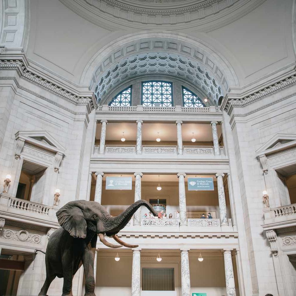 TravelLeisure's tweet photo. 32 Best Things to Do in Washington, D.C., From Must-see National Landmarks to Renowned Museums https://t.co/T2LM59vaAc https://t.co/0wUlUYU7yP