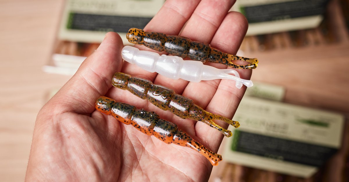 TackleWarehouse's tweet photo. Shop Now👉https://t.co/848XvY7Fjc
BioSpawn’s built-in-a-lab BioScent to boost strikes from the most finicky fish, the BioSpawn ExoNed is a marvel in experimental technology for the Ned rig and has proven highly effective.
#TackleWarehouse | #BioSpawn https://t.co/o9hwbwos4h