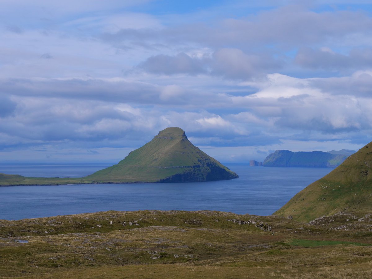 Dr Helgi tweet media