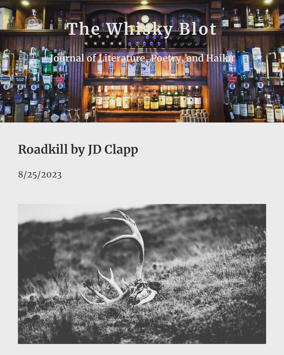 Excited to have a new short story in The Whisky Blot! #thewhiskyblot
#shortstories #ruralnoir