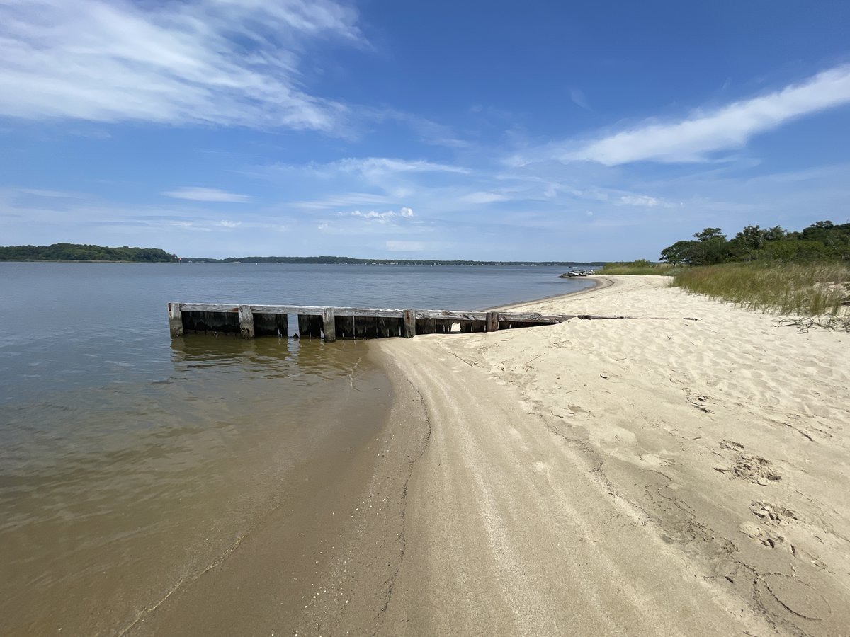 AAHealth_Water's tweet photo. Latest Recreational #WaterQuality Report for #AnneArundel County #HealthyBeaches. #ChesapeakeBay, #MagothyRiver, #PatapscoRiver, Rhode River, #SevernRiver, South River, West River, Stoney Creek, Weems Creek. https://t.co/QUJH4LWdDC https://t.co/yE99x3TOar