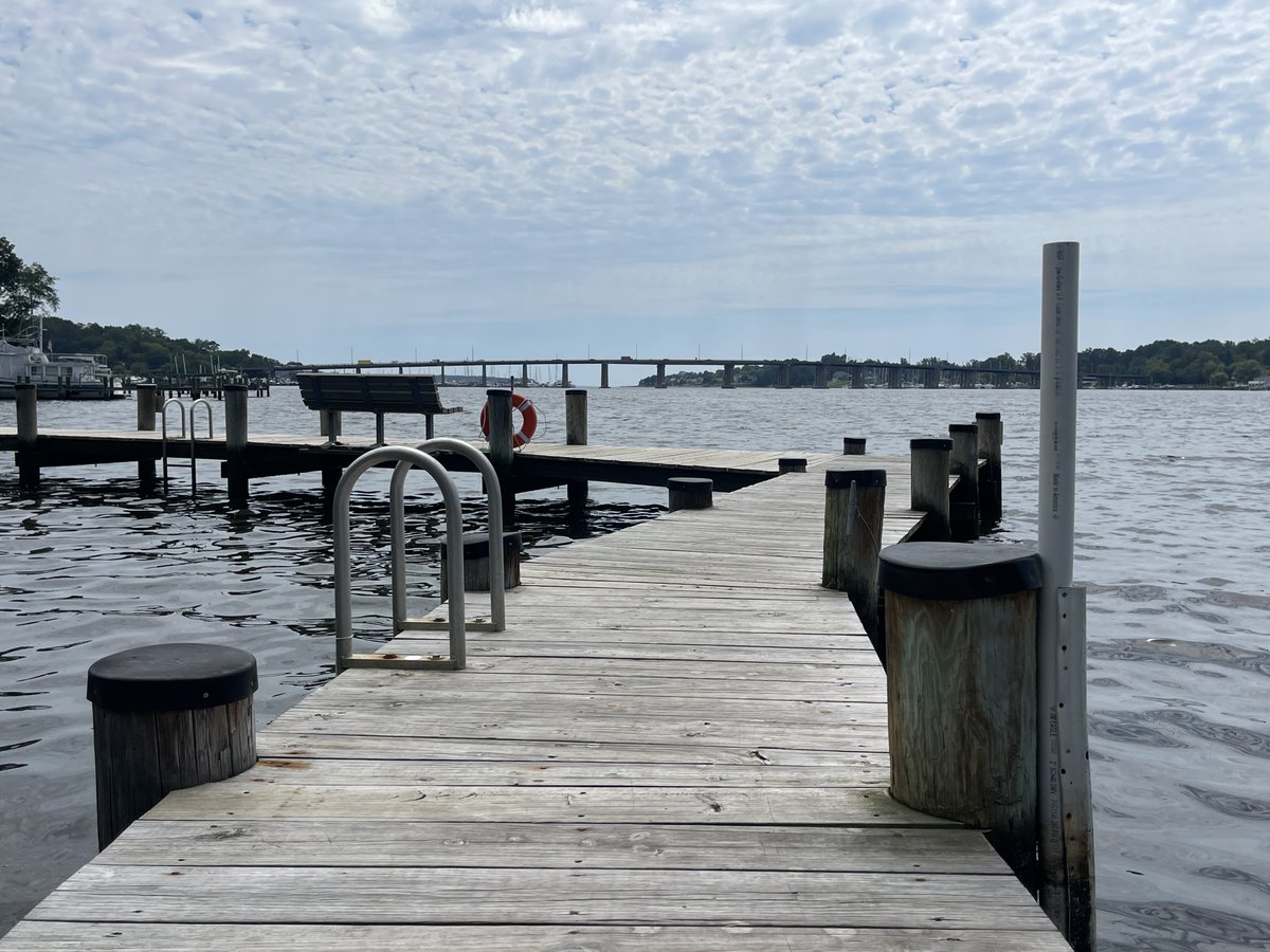 AAHealth_Water's tweet photo. Latest Recreational #WaterQuality Report for #AnneArundel County #HealthyBeaches. #ChesapeakeBay, #MagothyRiver, #PatapscoRiver, Rhode River, #SevernRiver, South River, West River, Stoney Creek, Weems Creek. https://t.co/QUJH4LWdDC https://t.co/yE99x3TOar
