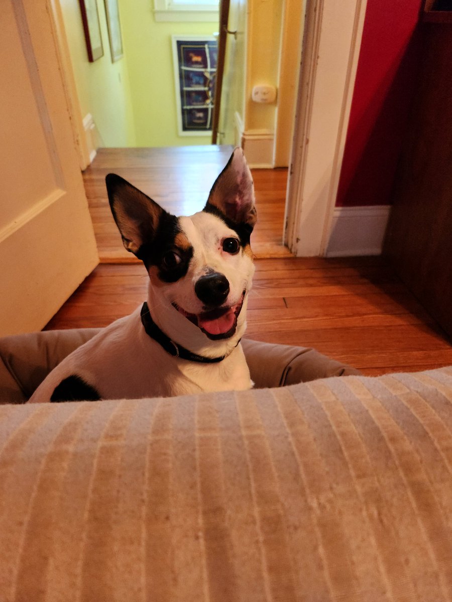 Ken Adams tweet media