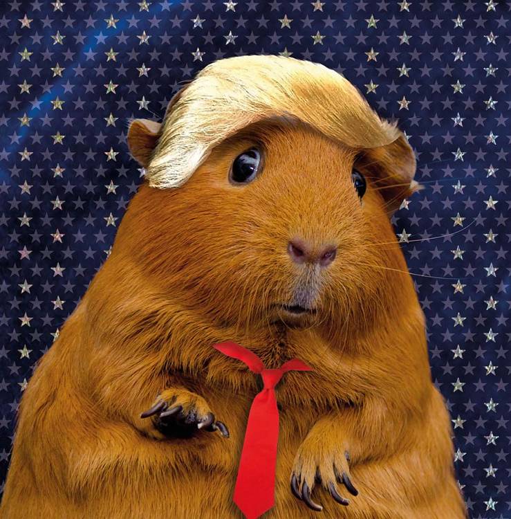 GuineaDad's tweet image. Thanks Brandon
#Trump #mugshot #TrumpMugShot