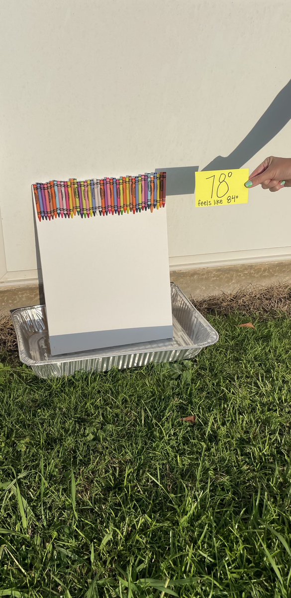 Mary Beth Cleveland tweet media