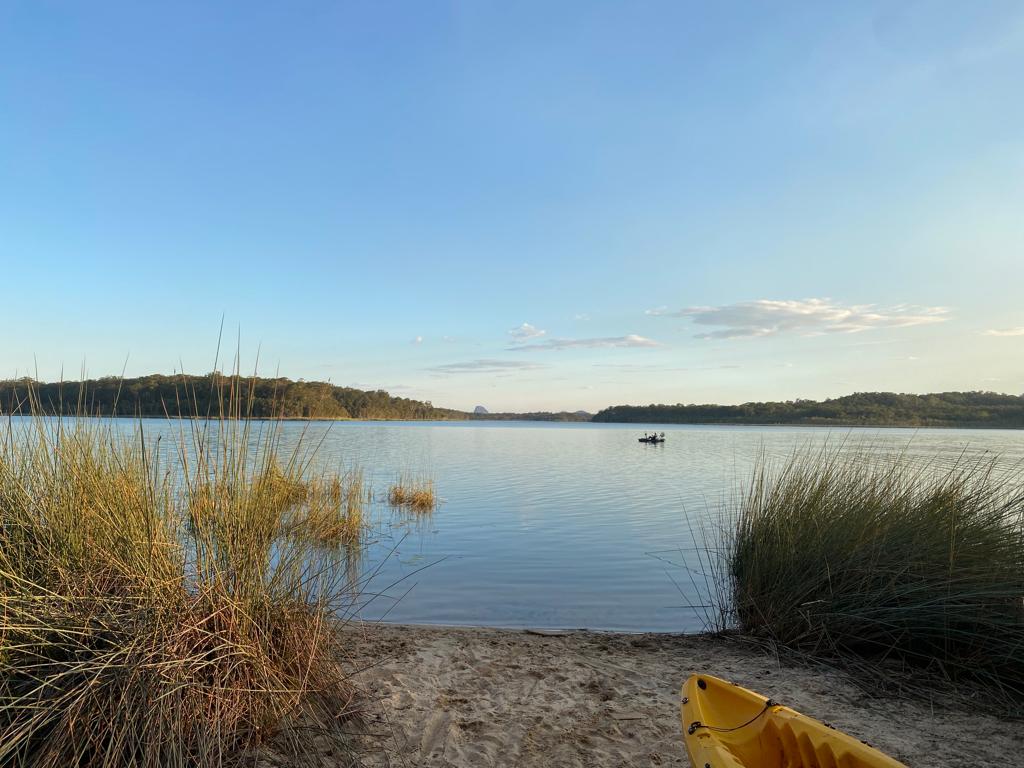 🟢 Green Pill Sunshine Coast 🇦🇺 tweet media