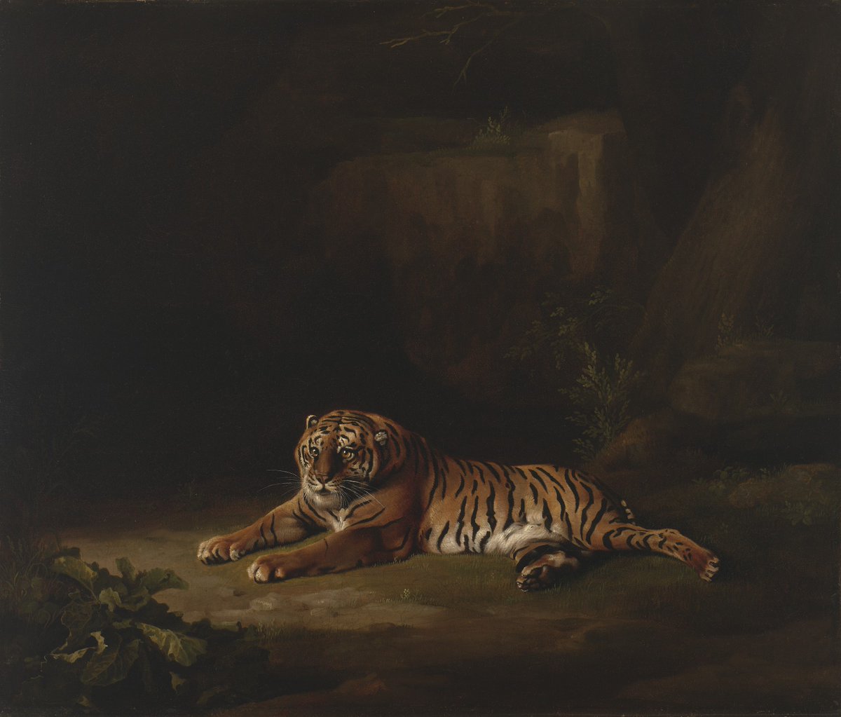 vmfamuseum's tweet photo. 🎂 Happy birthday to English artist George Stubbs who was #BornOnThisDay in 1724!

🐯 George Stubbs became the foremost painter of animals during the Enlightenment. Though tigers were usually portrayed as fierce, this one is in an equally natural state of repose. https://t.co/Qxp0YgHW0B