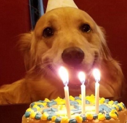 serra (@serrakrcm) on Twitter photo 