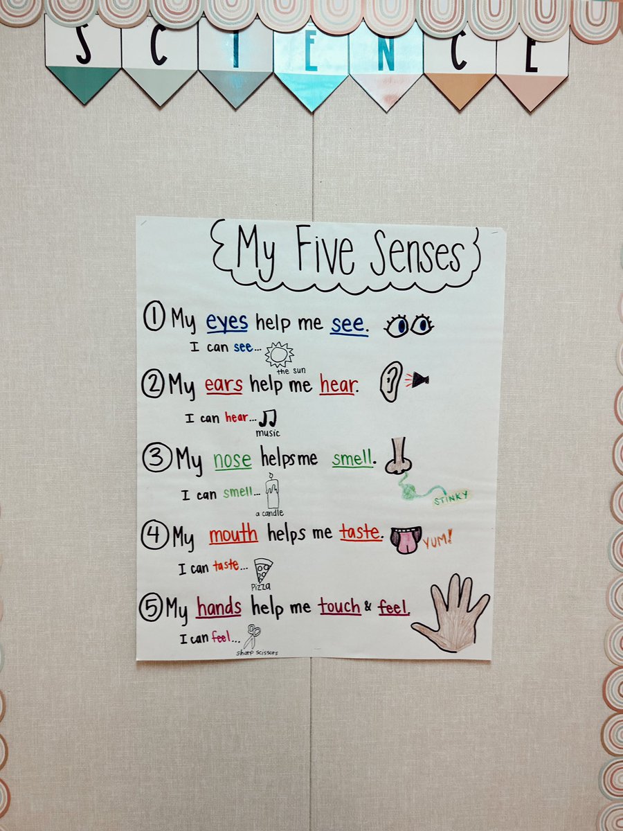msgriffinemma's tweet photo. Our walls are becoming filled with so much learning and I absolutely LOVE it ๐ฅณ๐ฉต #learningtakesflight #BJE #anchorchart #writers #5senses #rules #numbers #FBISD https://t.co/762572HQUE