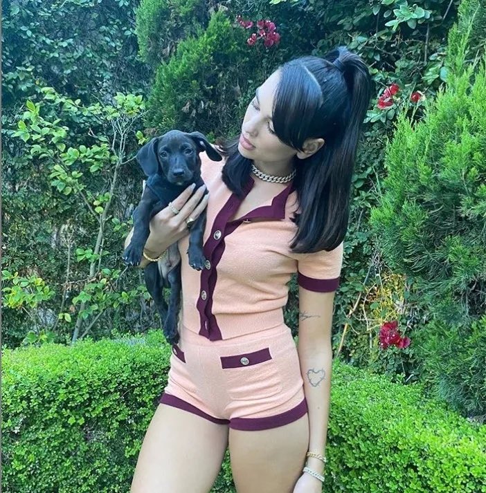 FamousPets's tweet photo. Dua Lipa loves puppies! 🐶💗🐶#FamousPets https://t.co/SUQ5skr50Z