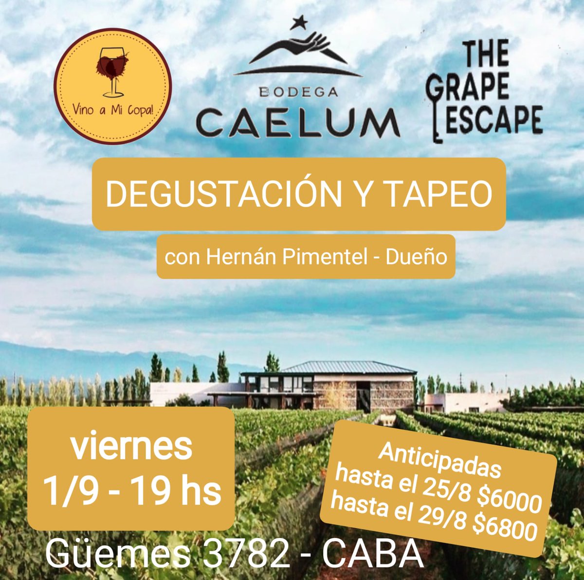 vinoamicopa tweet media