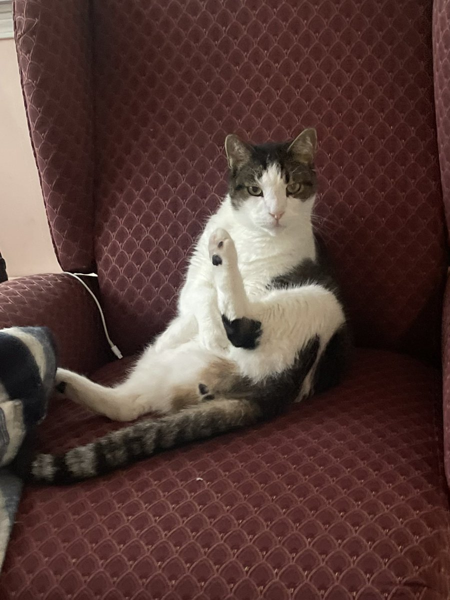 “What?!”