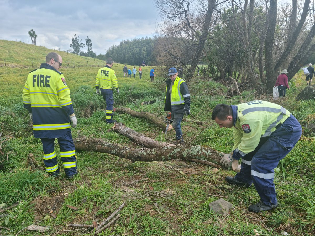 NZAllison's tweet photo. The work has begun.
#StreamCleanUp
#KaurimuStream https://t.co/yj0tz7tGNY
