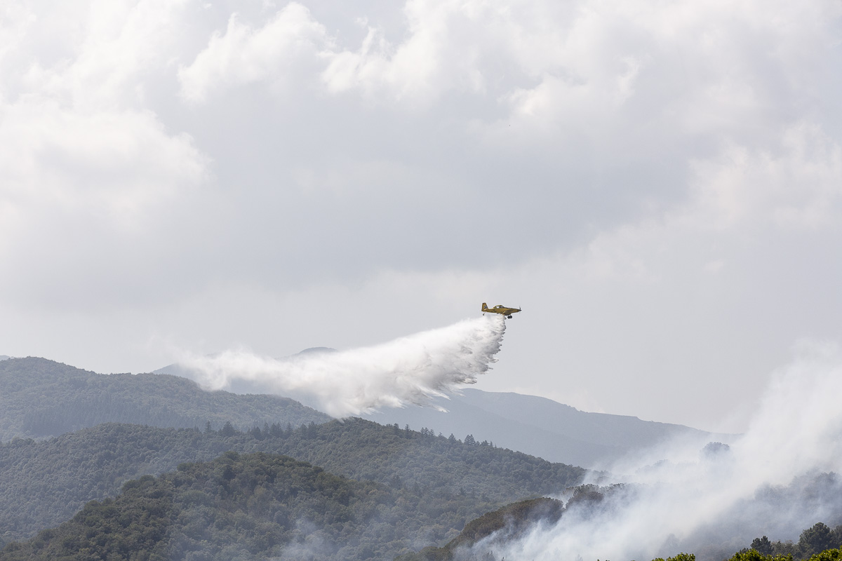 DOBPhotography's tweet photo. Fotografíes de l'incendi d'avui a #Arbucies @bomberscat @gencat  @arbucies https://t.co/qYOf8T2nvF