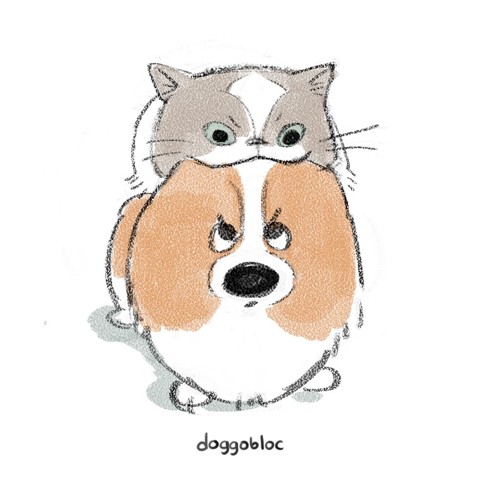 Doggobloc tweet media