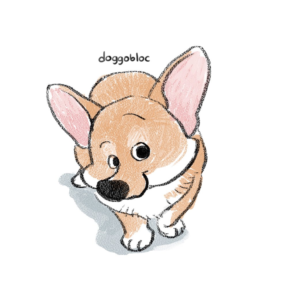 Doggobloc tweet media