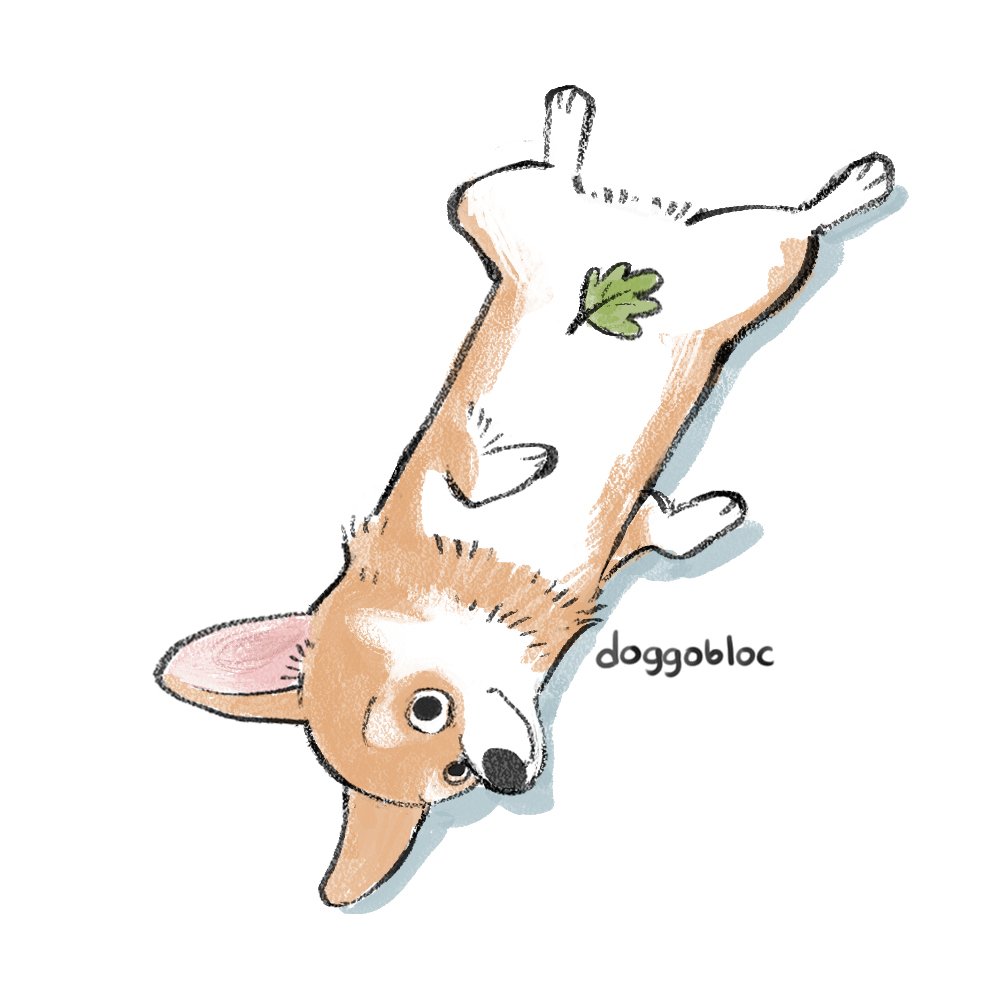 Doggobloc tweet media