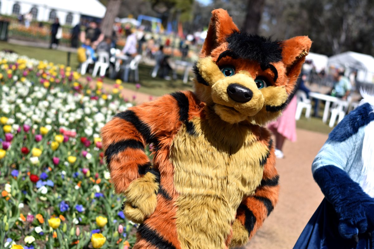 ddocandtheta's tweet photo. "Did I hear someone say all these flowers are prettier than *me*!? Outrageous!" 😝

Theta by @Onefurallstudio
(Cameo of @JonesDestroyer)

Photo by @Charlie_Dingo
#furry #fursuit #fursuitFriday https://t.co/Kc4P340oWq