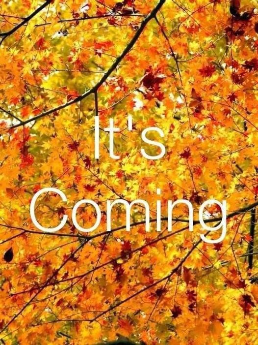 BSwirlsi's tweet photo. Next to the renewal that Spring Brings, Mother Nature's Autumn wardrobe is my favorite part of the year! #ItsAlmostFallYall https://t.co/sMQPSuMIWj