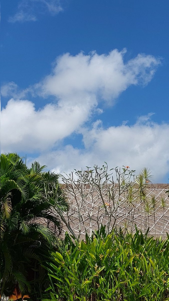 sebulan lebih liat polusi akhirnya langit biru.