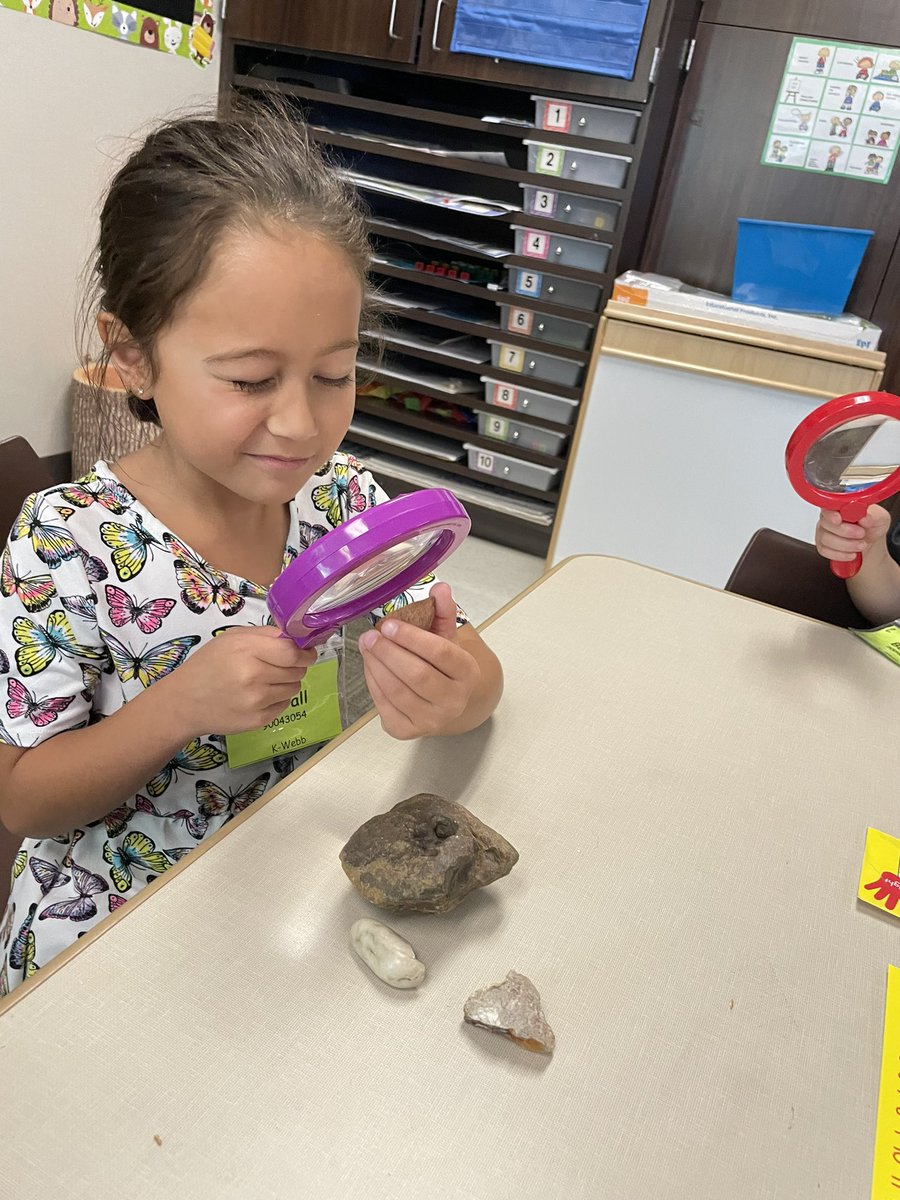 Kellis Webb tweet media