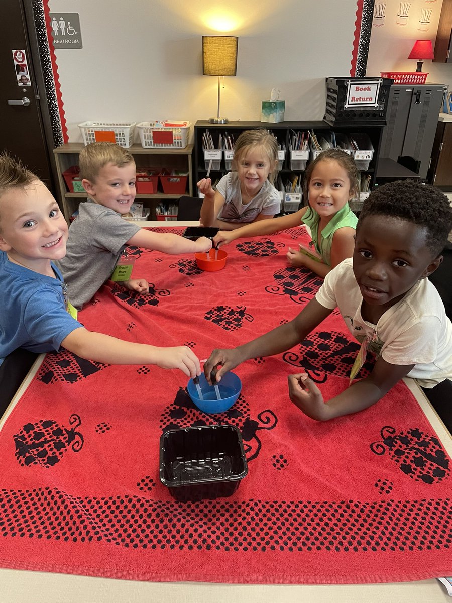 Kellis Webb tweet media