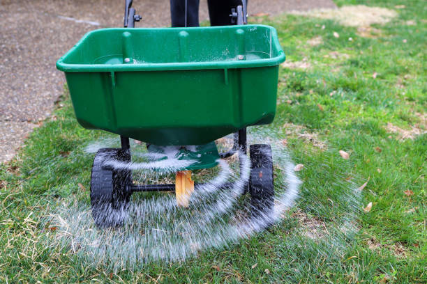 Keep your lawn healthy and green with Parker Lawn Care 's expert fertilization and weed control services. We use high-quality fertilizers and safe and effective weed control methods to keep your lawn looking its best. Contact us today to schedule your service.