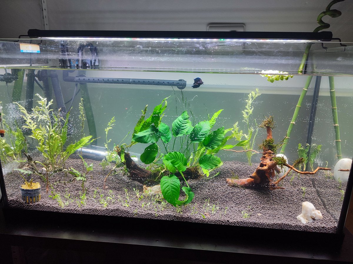 Crestongames tweet media