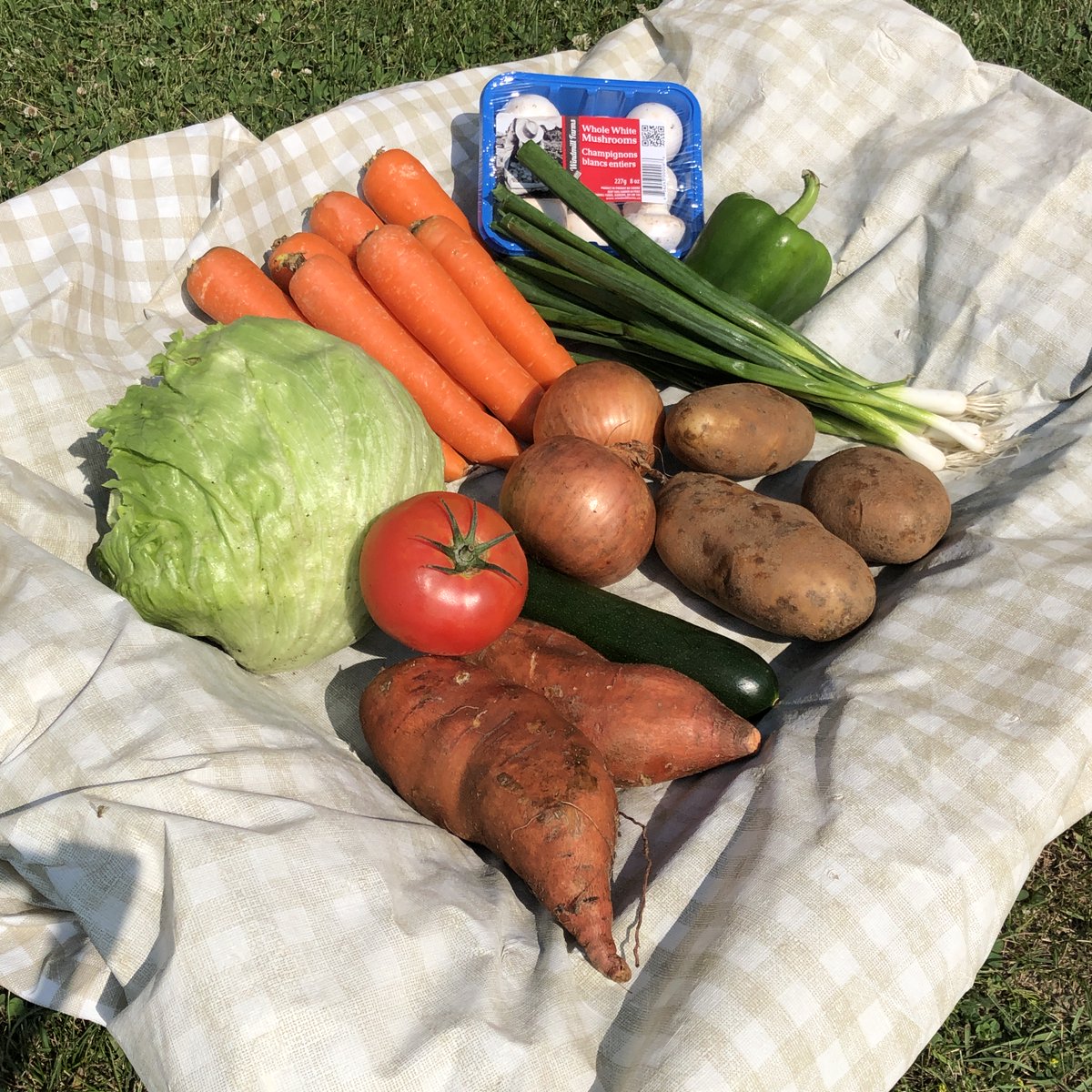 CDCQuinte tweet media