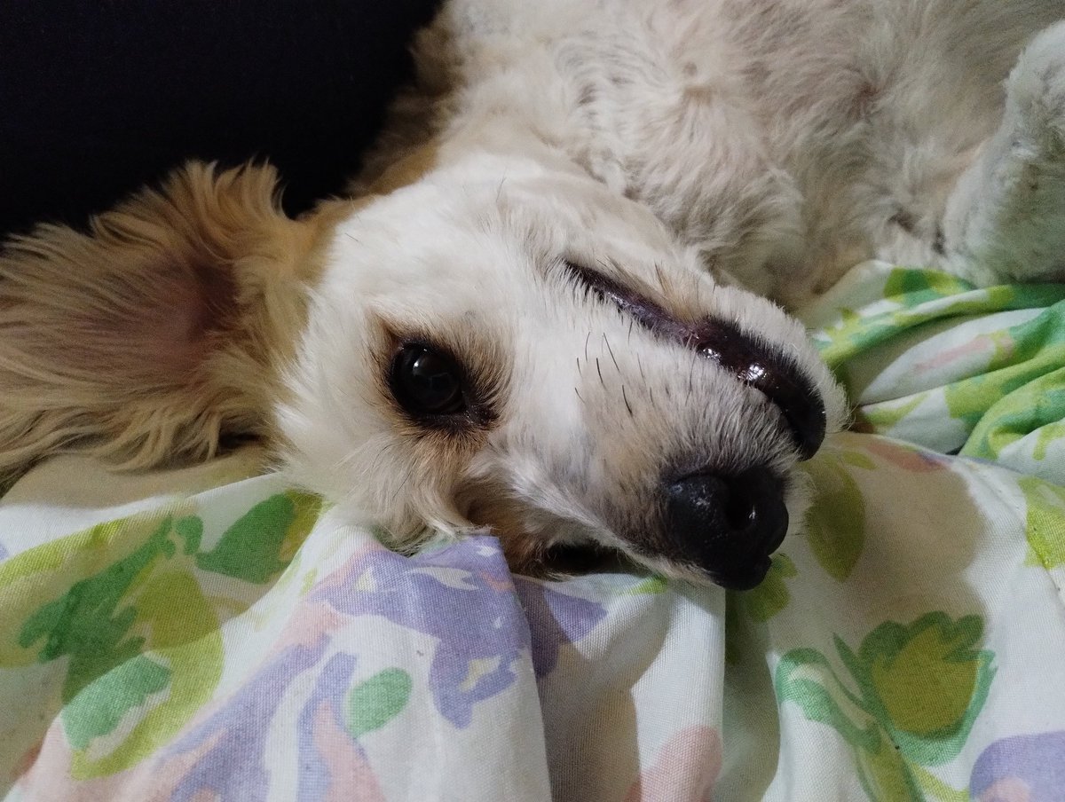 Reina de mami❤️‍🩹