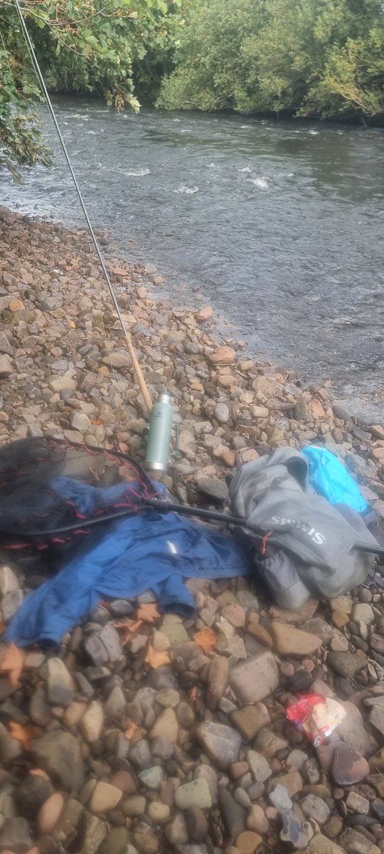 Ferrybryan's tweet image. Great to get out at dawn this morning before the rains came  and  land this salmon on a Cascade Fly  and it was released safely back into the water to fight another day
