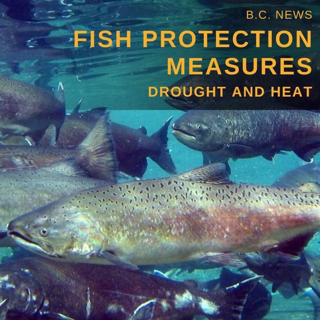 BC Nature tweet media