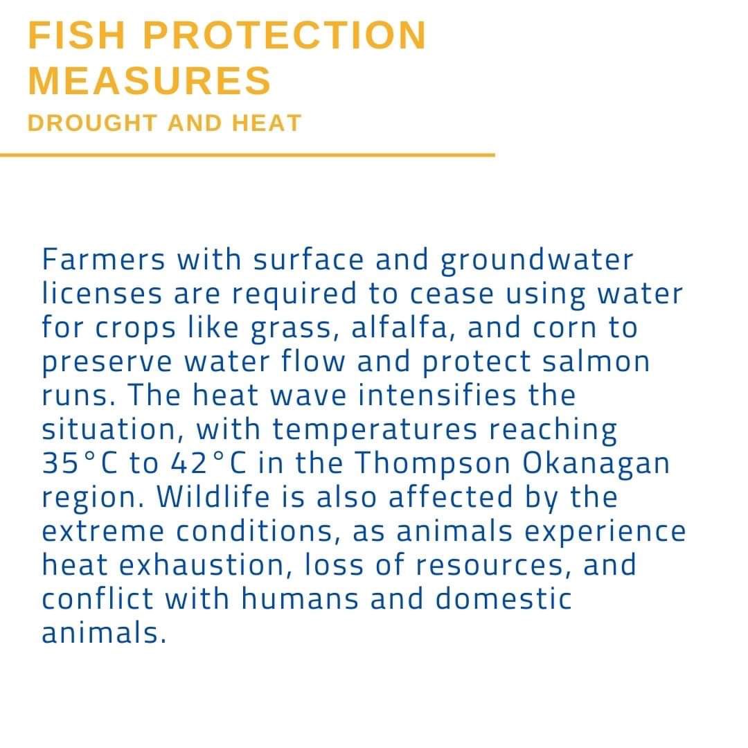 BC Nature tweet media