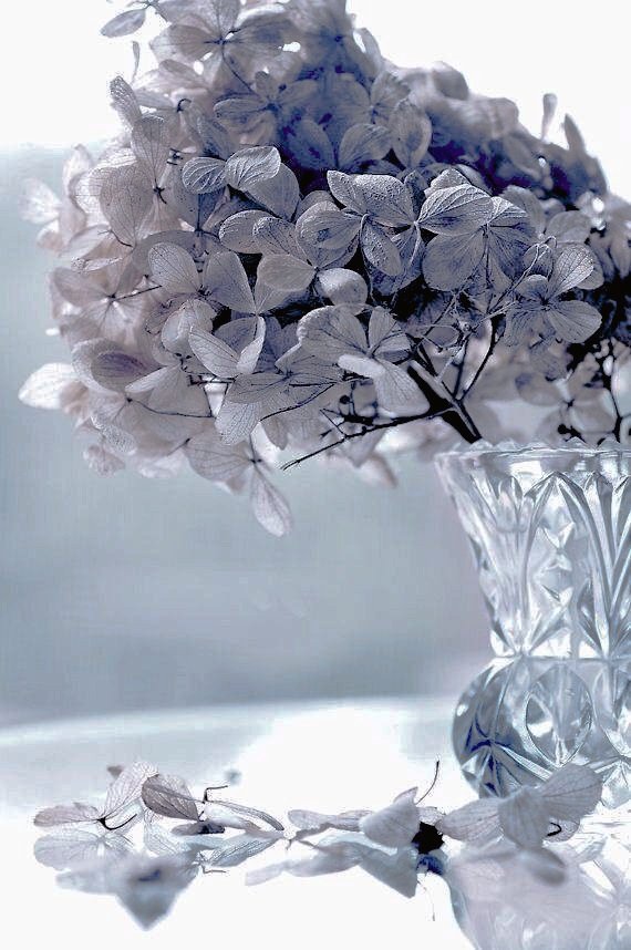 t_hellome9326's tweet photo. •.°•✿~ Flower Cottage ~✿•.°•

Dear self,  

Remember that …
nothing is better than
the love you give yourself… https://t.co/QuJ4KduTvM
