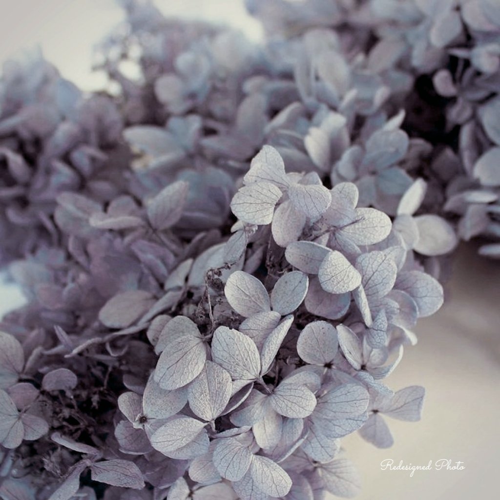 t_hellome9326's tweet photo. •.°•✿~ Flower Cottage ~✿•.°•

Dear self,  

Remember that …
nothing is better than
the love you give yourself… https://t.co/QuJ4KduTvM