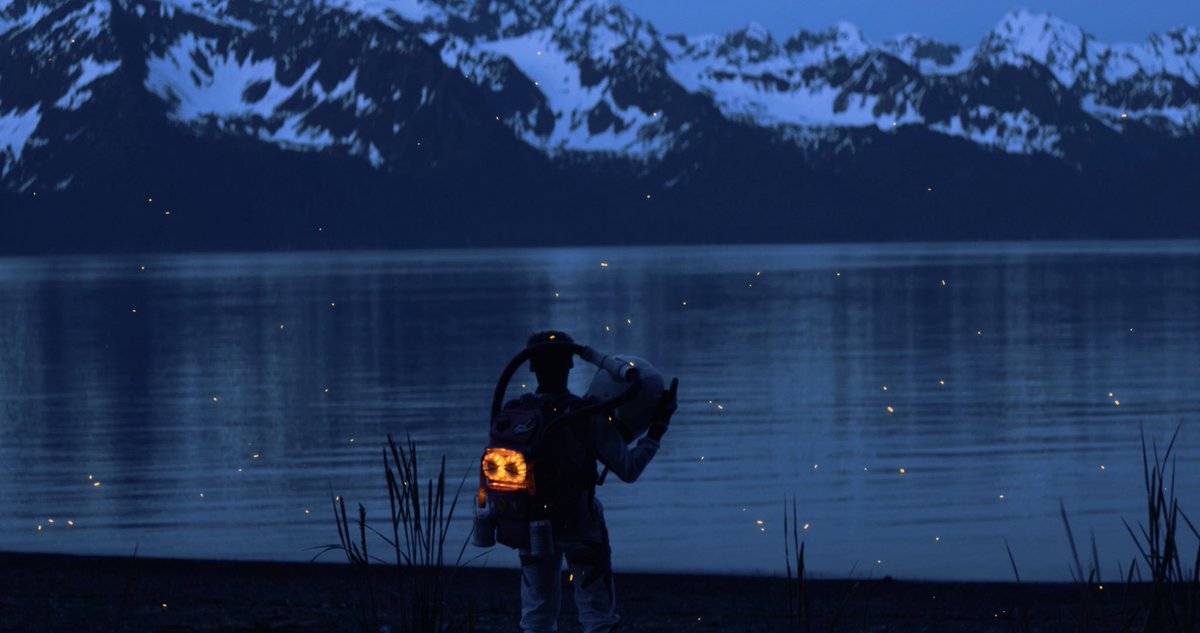 jaredavalosss's tweet image. Jared Avalos &amp;amp; back shots 🔬