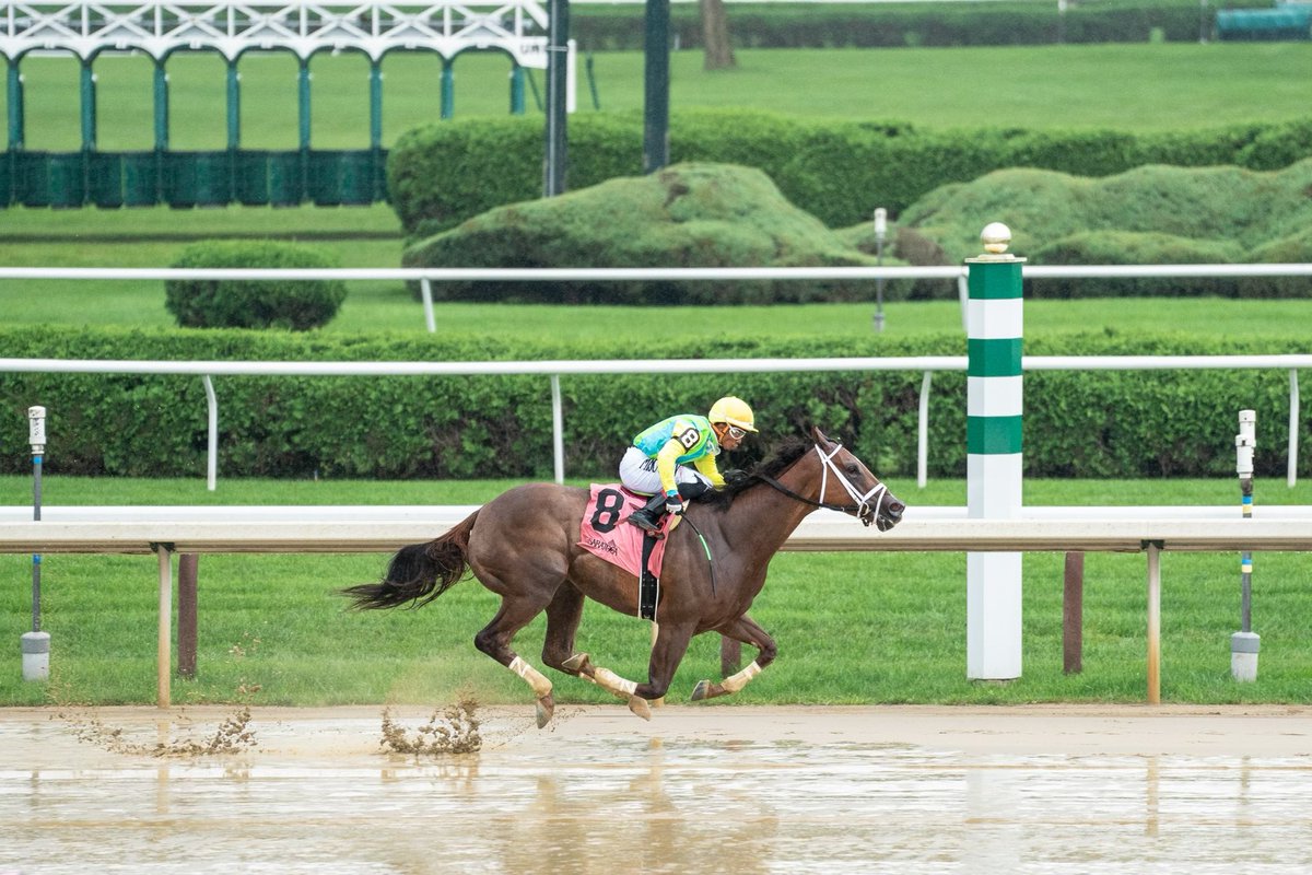 spendthriftfarm's tweet photo. Spendthrift-bred Ontheonesandtwos (Jimmy Creed) wins an AOC at @TheNYRA Saratoga! Congrats to all connections! #GetSpeedWithCreed https://t.co/CtGsYOtXkB