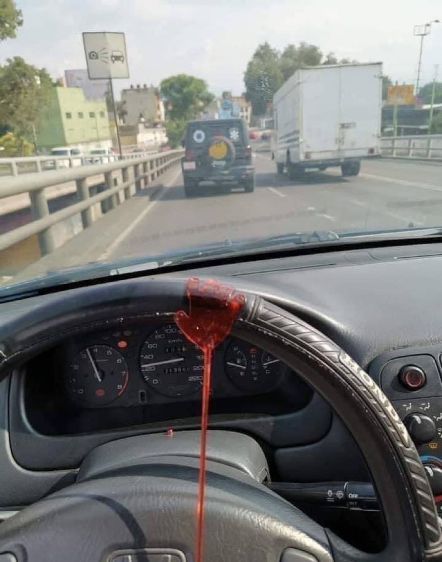 trntyngyn's tweet photo. all my problems will be solved when i get that Freaking license https://t.co/Ei3a6Cspxm