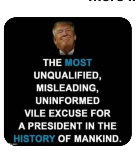 The Motley Truth tweet media