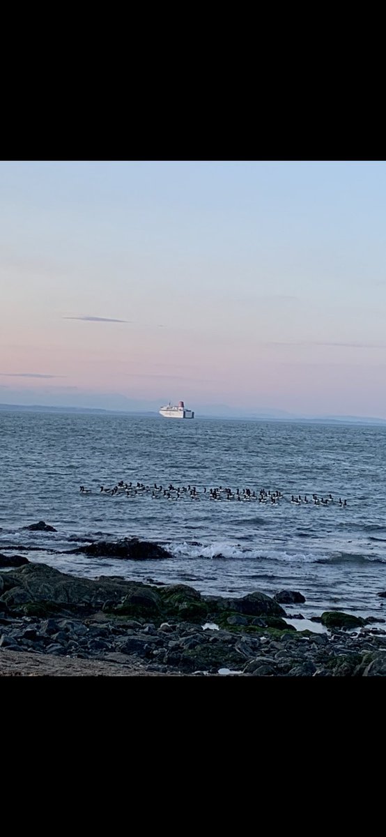 Miriamtiernan2's tweet photo. @BrittanyFerries #BF50 golden evening in Rosslare โค๏ธ https://t.co/bLNZQUMUGR