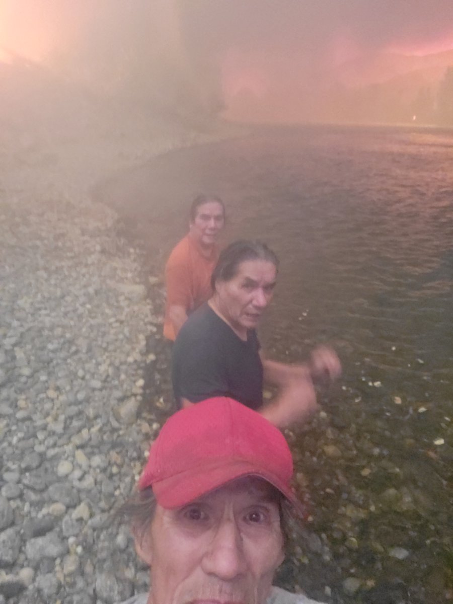 Marcella Bernardo 🇨🇦 tweet media