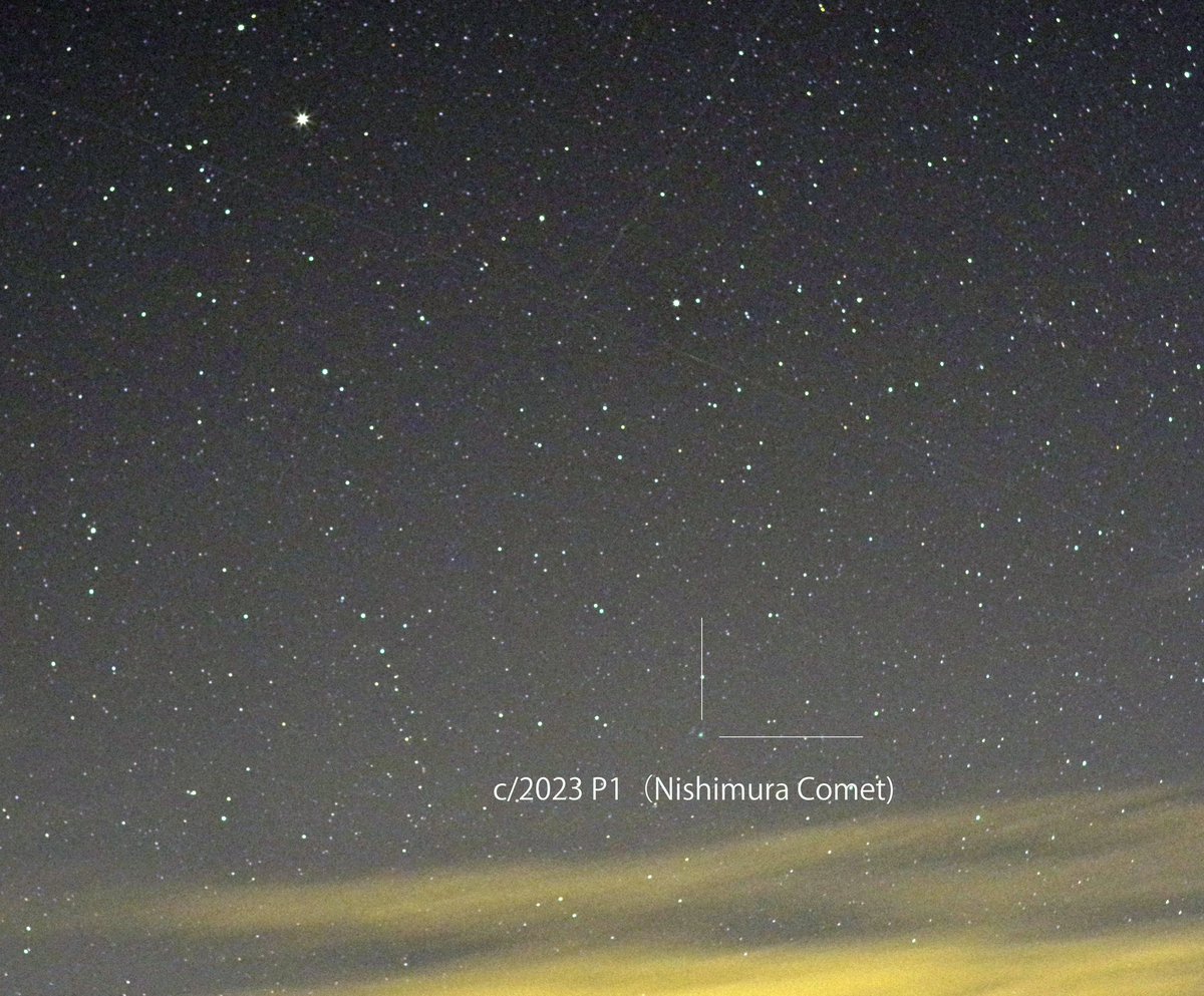西村彗星　お初

四時起きで、望遠鏡間に合わず、一眼でなんとか。
わかりやすい位置ですね、左上　ポルックス
#西村彗星　#c2023p1