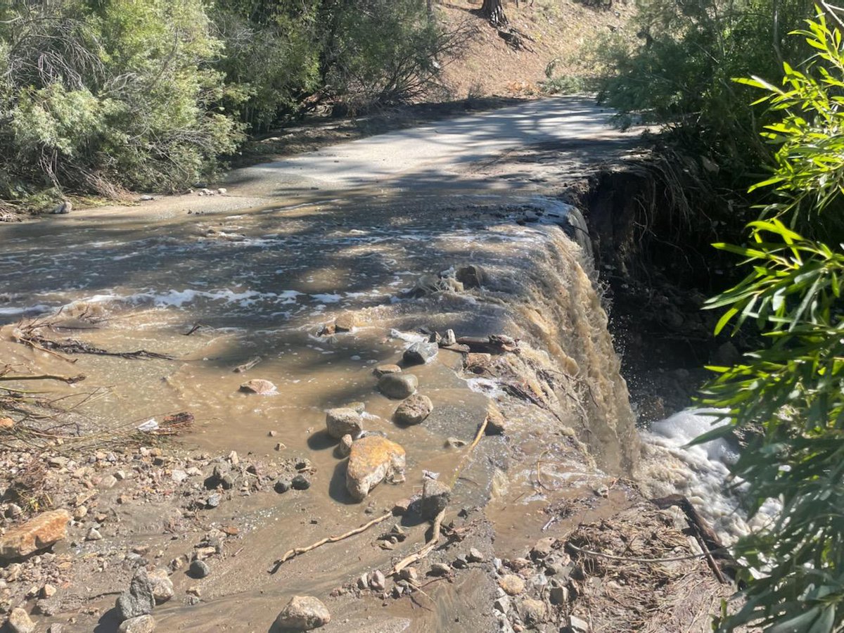 San Bernardino National Forest tweet media