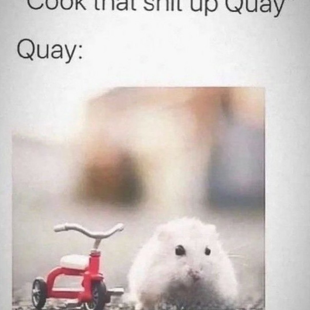 ྉ𝖙 𝖎 𝖓 𝖞ྉ (@ursathebear_) on Twitter photo 