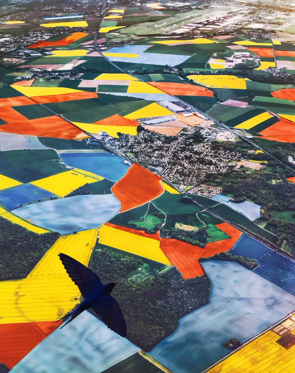 culturaliteral1's tweet photo. Así lucen los Países Bajos en temporada de tulipanes desde una perspectiva aérea. https://t.co/AOeKjHlyEe