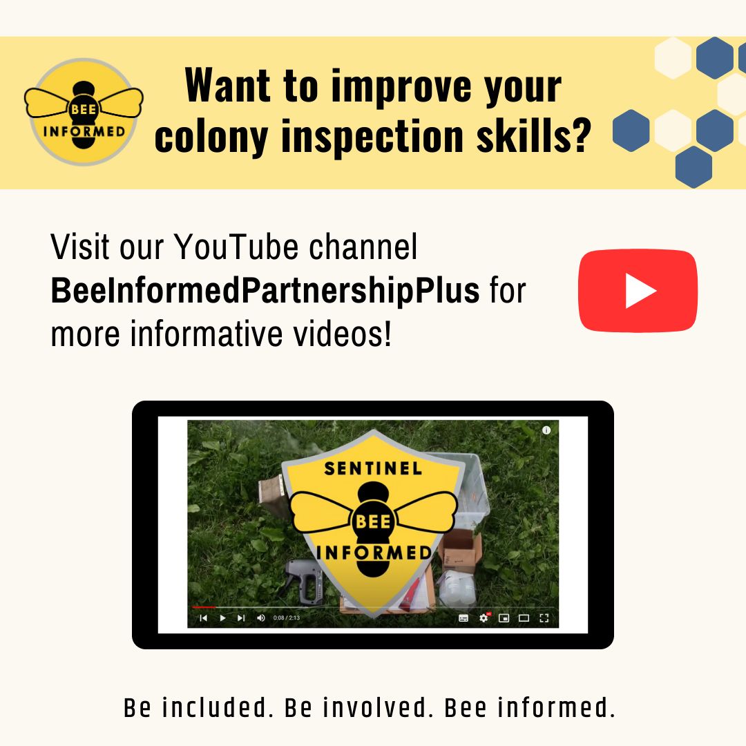 BIP’s YouTube channel offers lots of free resources, have you subscribed? Watch our latest videos here: youtube.com/@BeeInformedPa…
#beeinformedpartnership #beekeeping