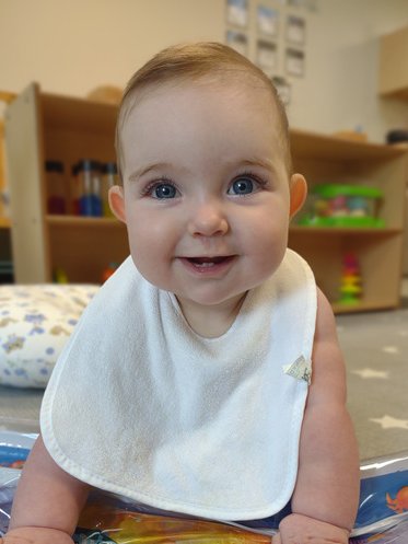 Kim Case tweet media