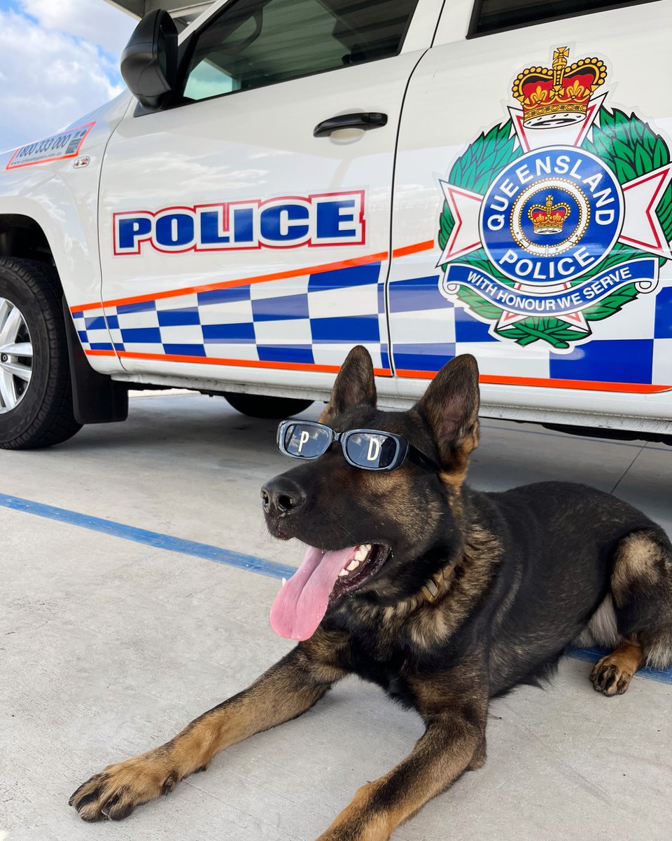 Queensland Police tweet media