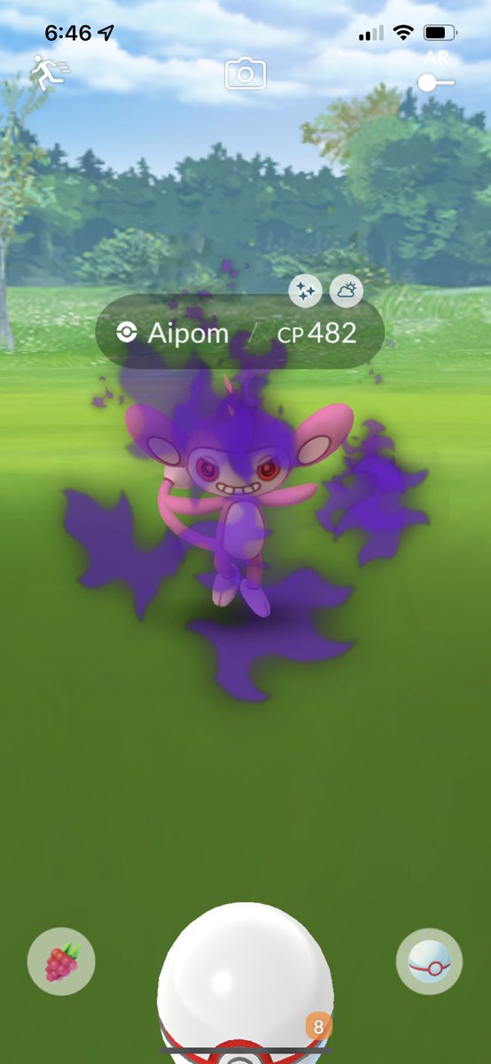 munchlaxmel's tweet photo. Pretty sweet catch the night before global #GoFest #pokemongofest #shinypokemon #shinyshadowpokemon #pokemongo https://t.co/CYgDrQjusb